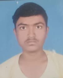 गणपती विसर्जन करताना सीना नदीत युवक गेला वाहून