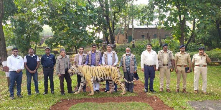 सह्याद्री व्याघ्र प्रकल्पाचा “व्हेरी गुड” श्रेणीत समावेश